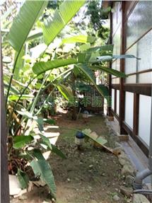 頭份天下一家透天美別墅房屋室內格局與周邊環境