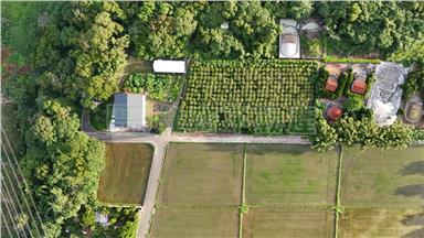 頭份全新合法大農舍房屋室內格局與周邊環境