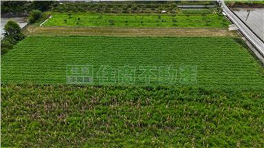 橫山方正農地房屋室內格局與周邊環境