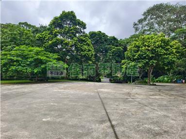 南庄森林合法民宿房屋室內格局與周邊環境