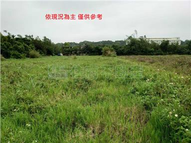 中壢山東農地-2