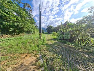 大溪百吉休閒農地ABCD四筆房屋室內格局與周邊環境