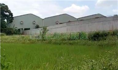 楊梅高上段農地房屋室內格局與周邊環境