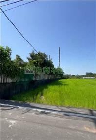 中豐北路報廢車環保特農(特目)