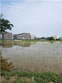 新屋都內農地房屋室內格局與周邊環境