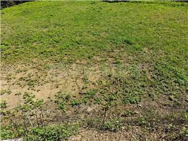 新社便宜農地B房屋室內格局與周邊環境