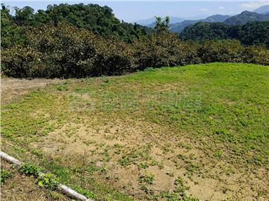 新社便宜農地B房屋室內格局與周邊環境
