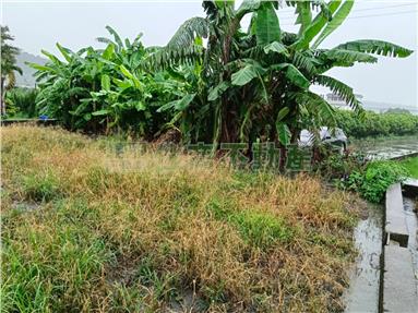 后里泰安三角地房屋室內格局與周邊環境