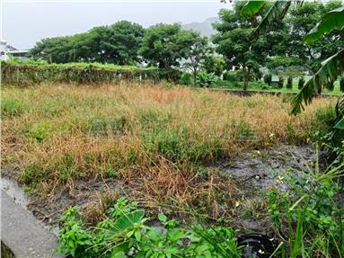 后里泰安三角地房屋室內格局與周邊環境