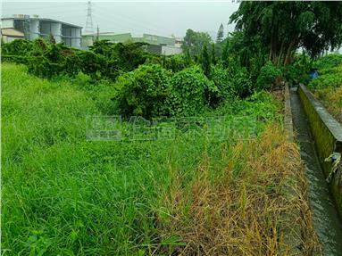 后里泰安三角地房屋室內格局與周邊環境