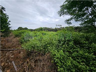 南投市雙面臨路平坦農地房屋室內格局與周邊環境