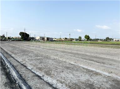西螺新宅農地房屋室內格局與周邊環境