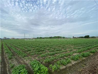 東勢東北農地房屋室內格局與周邊環境