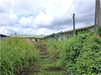 大廈巷建地送二合法平房房屋室內格局與周邊環境
