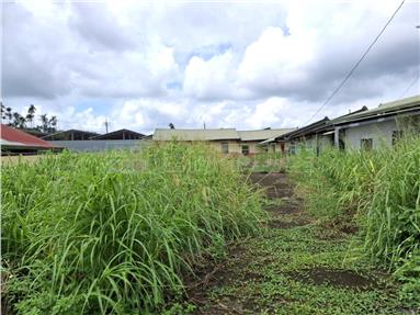 大廈巷建地送二合法平房房屋室內格局與周邊環境