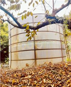 集集民宿旁果園房屋室內格局與周邊環境