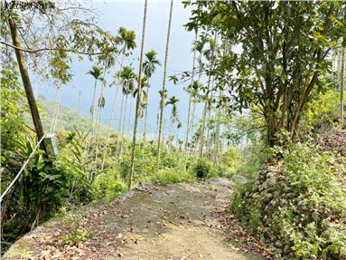 水里金山景觀農舍地房屋室內格局與周邊環境