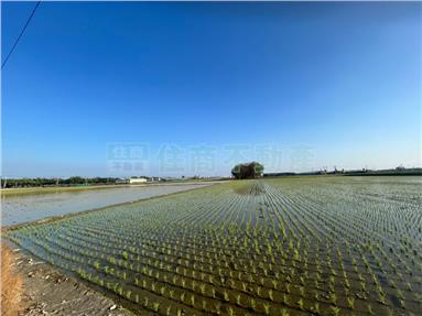 崙背豐榮農地房屋室內格局與周邊環境