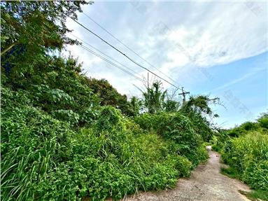 虎山巖有水電農地房屋室內格局與周邊環境