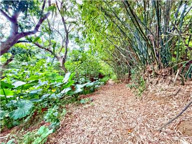 虎山巖有水電農地房屋室內格局與周邊環境