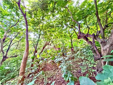 虎山巖有水電農地房屋室內格局與周邊環境