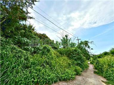 虎山巖有水電農地房屋室內格局與周邊環境