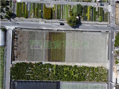 永靖近東彰三面路美田房屋室內格局與周邊環境
