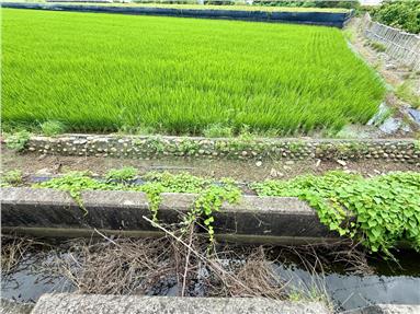 埔鹽交流道旁雙面路4.4分農地房屋室內格局與周邊環境