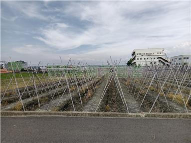 專簽大村南勢美田(1)房屋室內格局與周邊環境