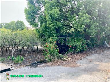 溪州鄉甲建+農地房屋室內格局與周邊環境