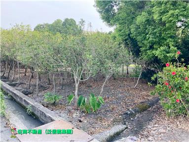 溪州鄉甲建+農地房屋室內格局與周邊環境