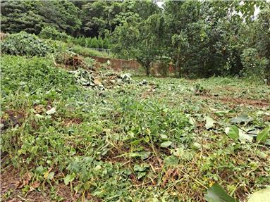 近溫泉區綠藝田+建地房屋室內格局與周邊環境