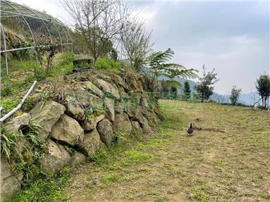 竹山大鞍露營用地房屋室內格局與周邊環境