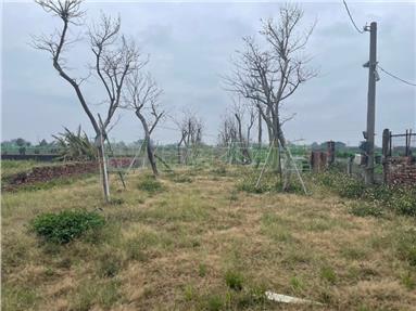 芳苑建平村開心農舍房屋室內格局與周邊環境
