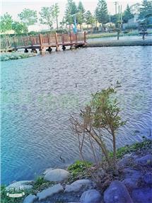 水五金帝寶田房屋室內格局與周邊環境