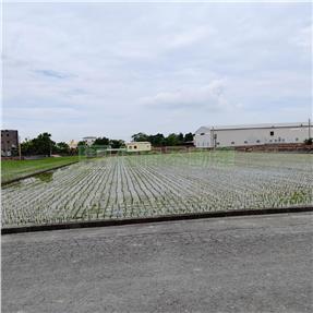 秀水馬鳴農地Ⅱ房屋室內格局與周邊環境