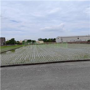 秀水馬鳴農地Ⅱ房屋室內格局與周邊環境