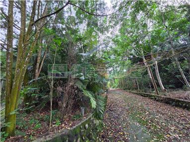 太平頭汴國小休閒農牧用地房屋室內格局與周邊環境