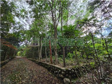 太平頭汴國小休閒農牧用地房屋室內格局與周邊環境