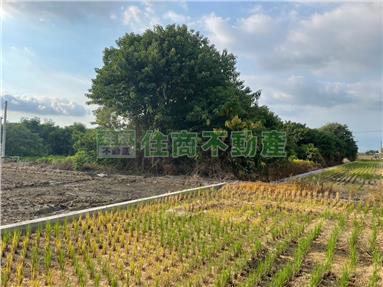 溪州新興段方正美田地房屋室內格局與周邊環境