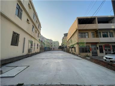 南簡187專約建地房屋室內格局與周邊環境