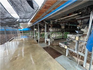 埔鹽埔打路蛋雞舍房屋室內格局與周邊環境
