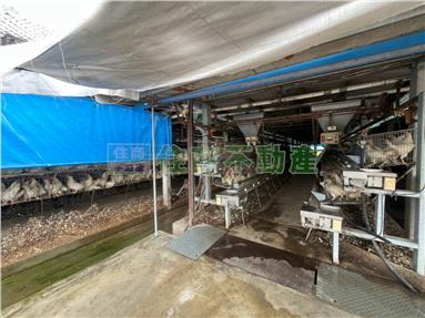 埔鹽埔打路蛋雞舍房屋室內格局與周邊環境