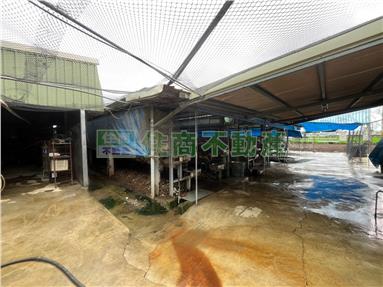 埔鹽埔打路蛋雞舍房屋室內格局與周邊環境