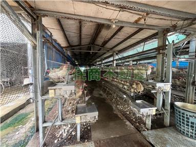 埔鹽埔打路蛋雞舍房屋室內格局與周邊環境