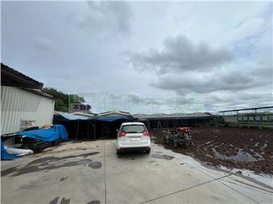 埔鹽埔打路蛋雞舍房屋室內格局與周邊環境