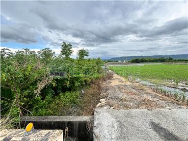 溪州大同北路農地房屋室內格局與周邊環境