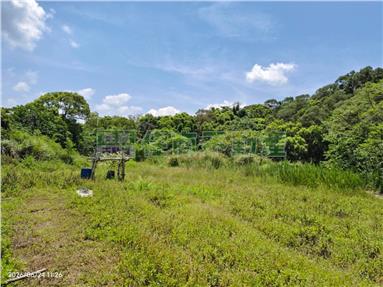 專任近苗栗高鐵站9.5分農地房屋室內格局與周邊環境