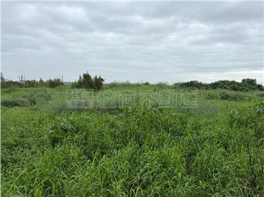 麥寮許厝農地房屋室內格局與周邊環境