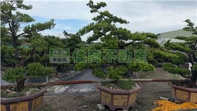 二崙永定農地2房屋室內格局與周邊環境